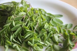 Para qué sirve la moringa