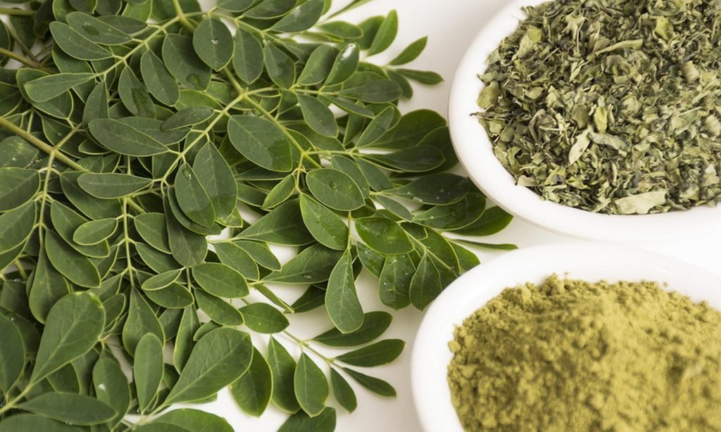 Comprar Té de Moringa